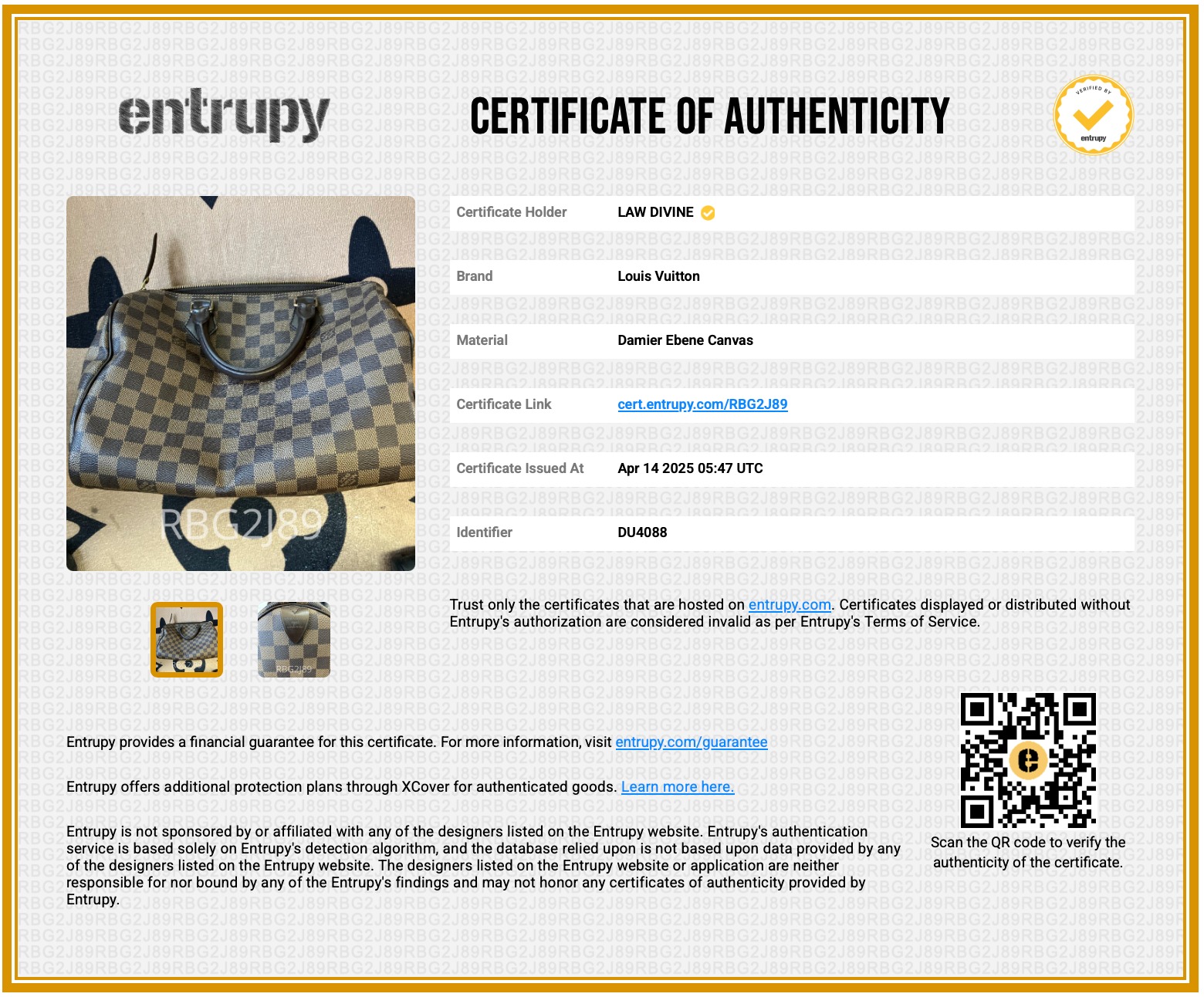 Speedy Handbag Damier 30
