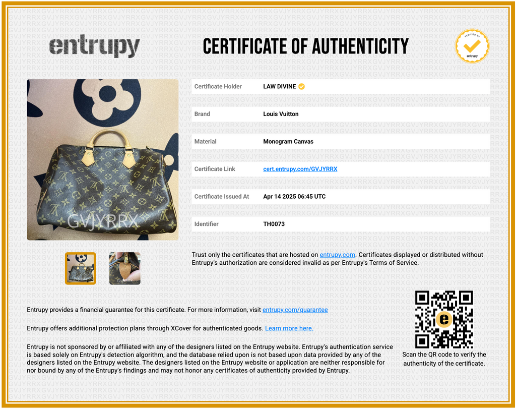 Speedy Handbag Monogram Canvas 30