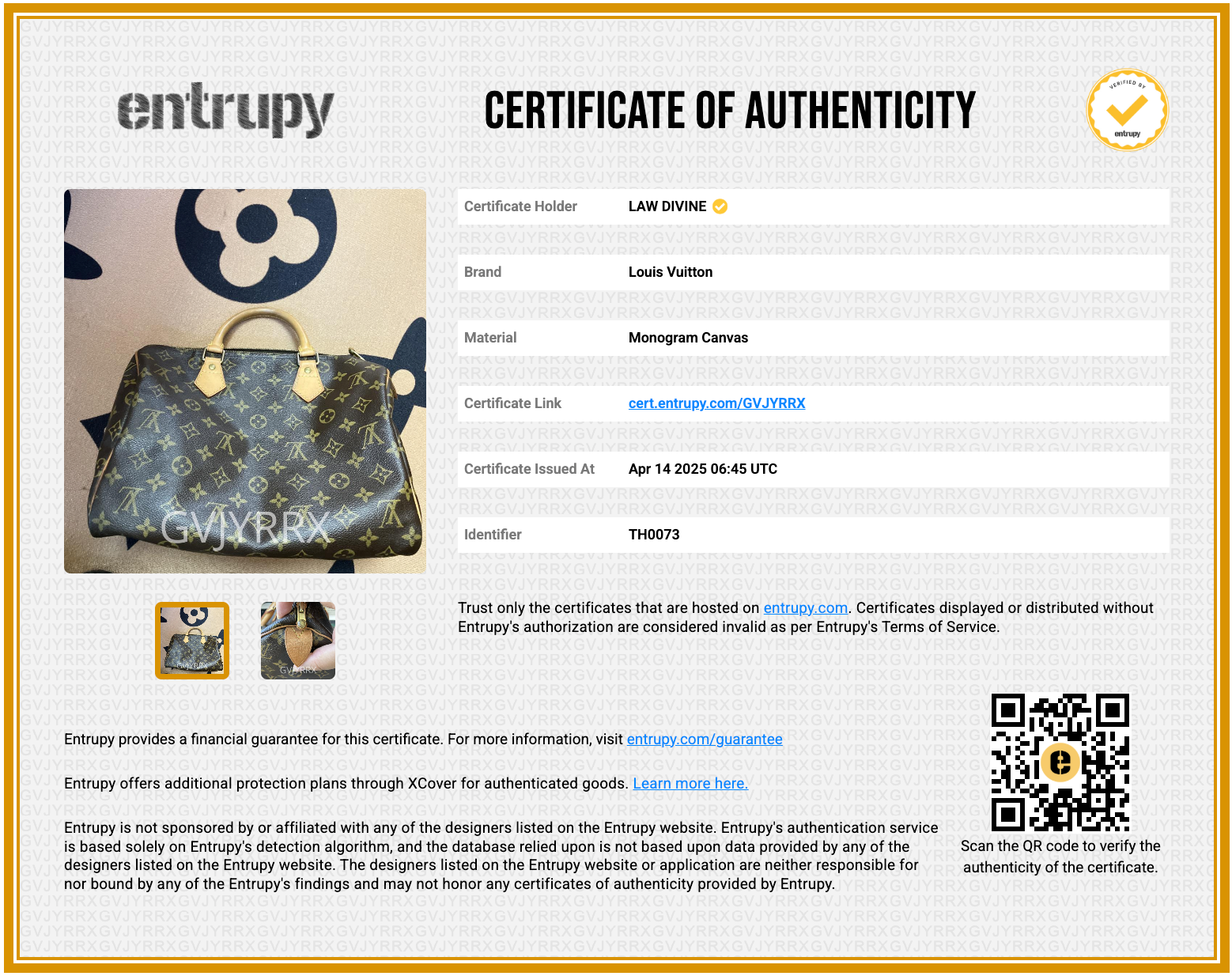 Speedy Handbag Monogram Canvas 30