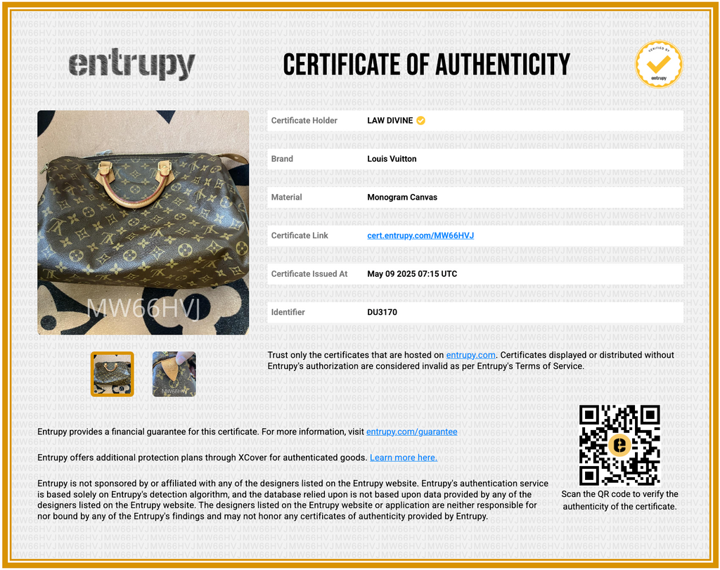Speedy Handbag Monogram Canvas 35