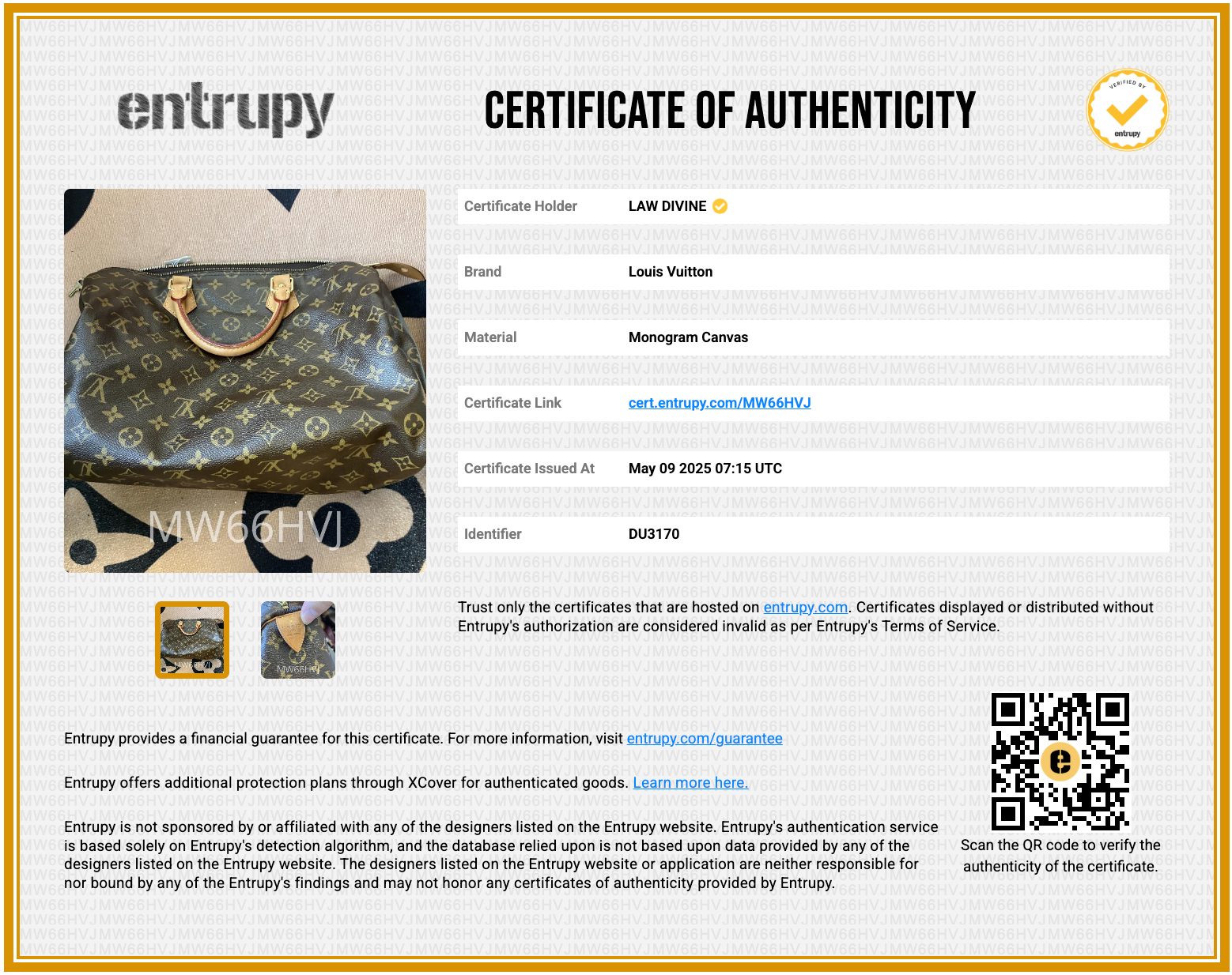 Speedy Handbag Monogram Canvas 35