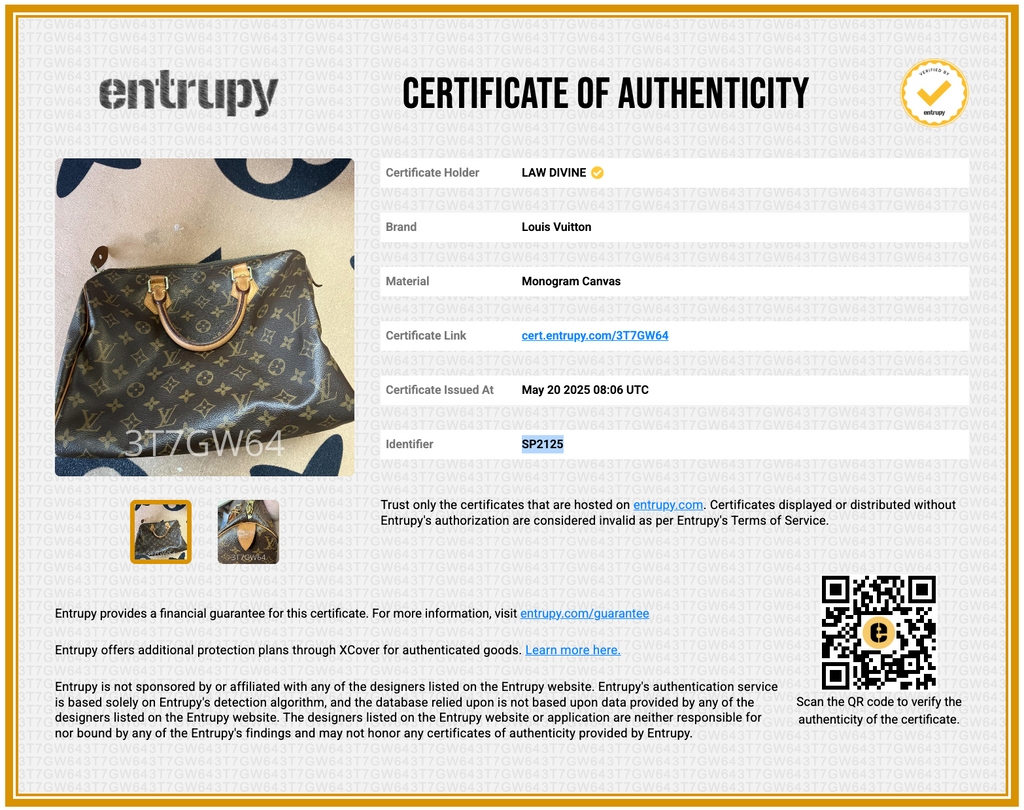Speedy Handbag Monogram Canvas 30