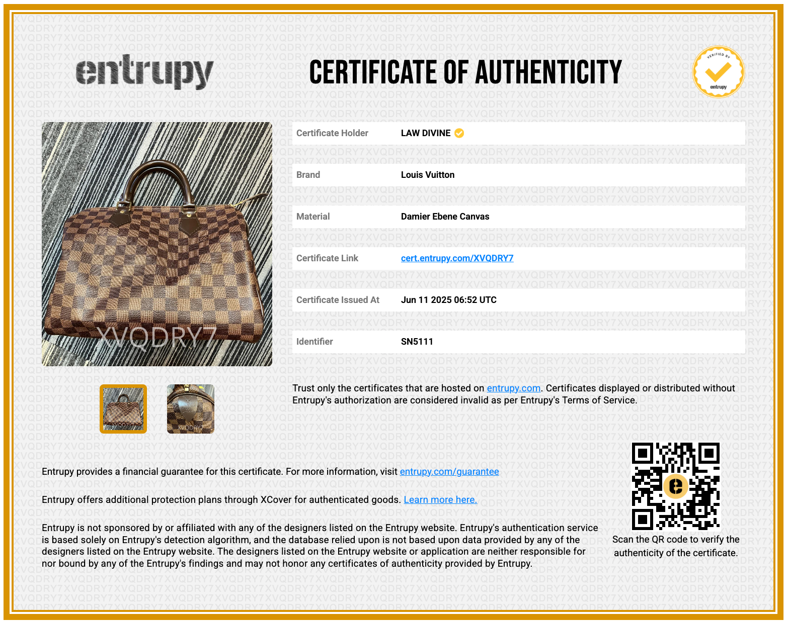Speedy Handbag Damier 30