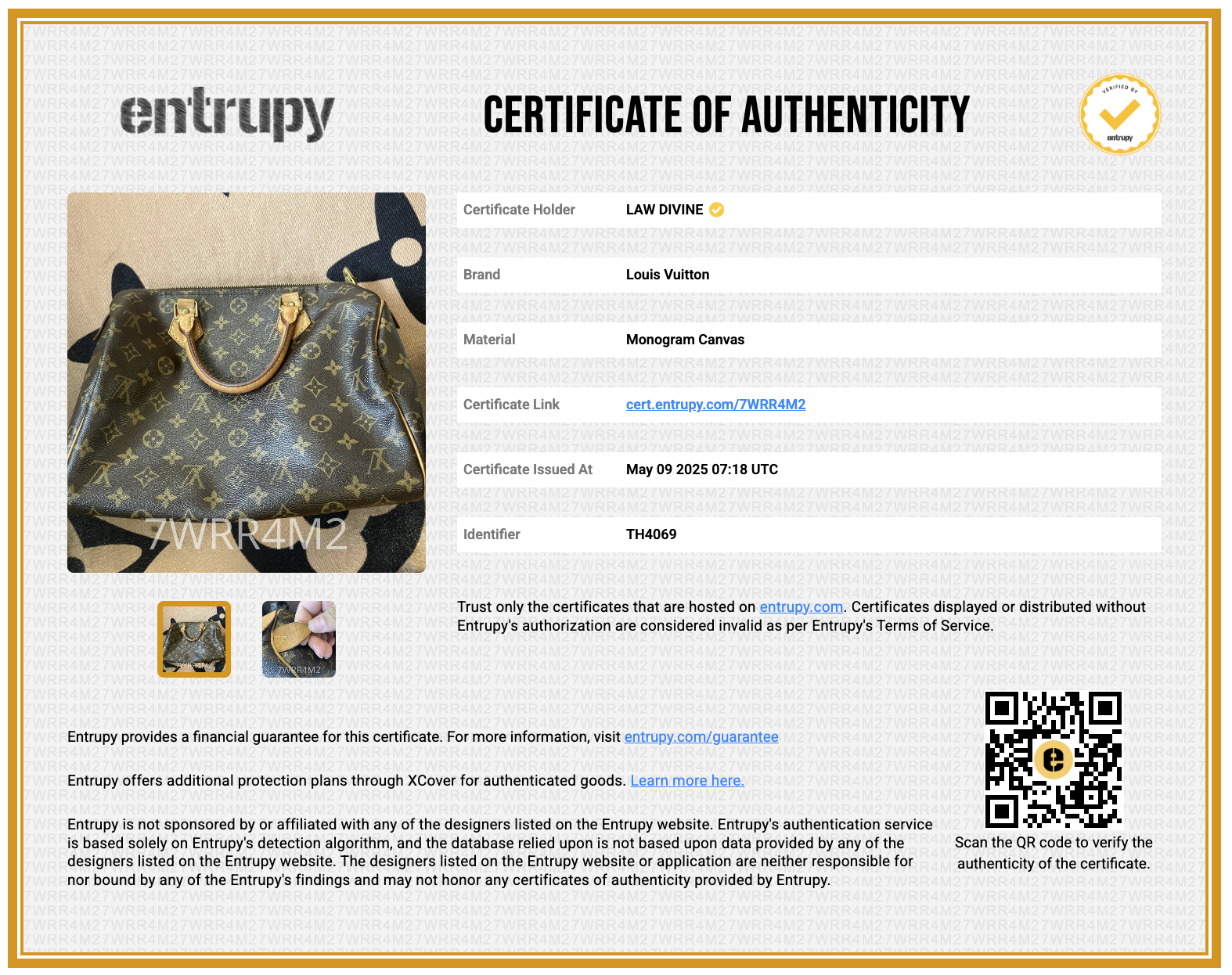 Speedy Handbag Monogram Canvas 30