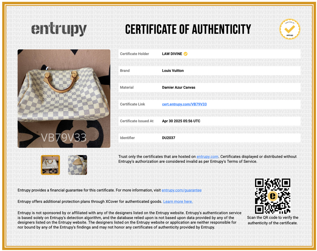 Speedy Handbag Damier 30