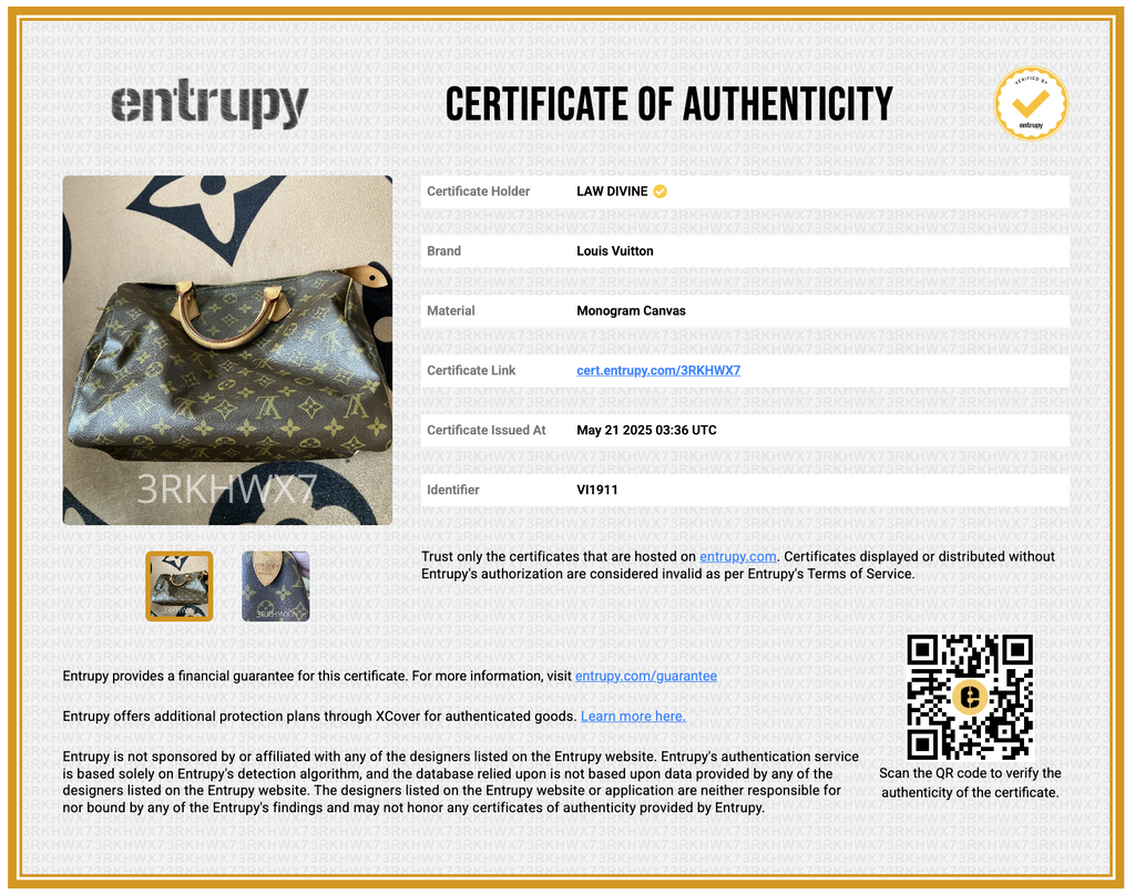 Speedy Handbag Monogram Canvas 30