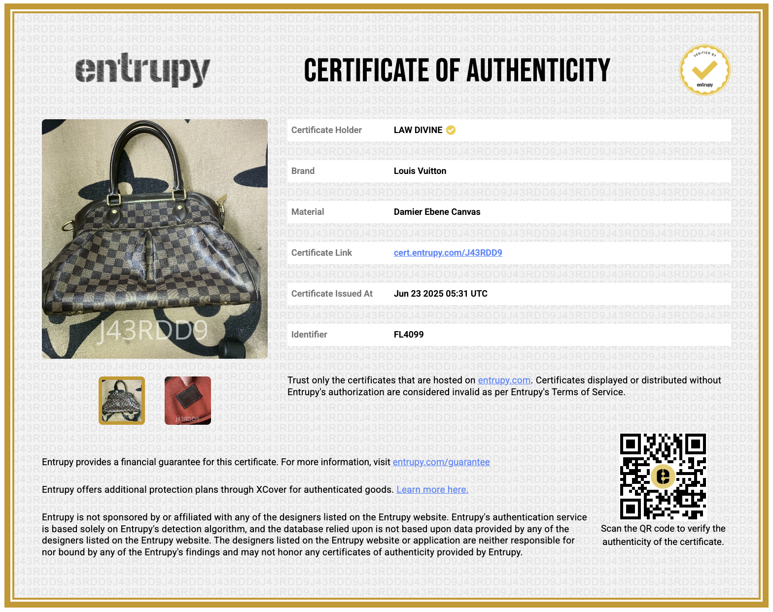 Trevi Handbag Damier PM