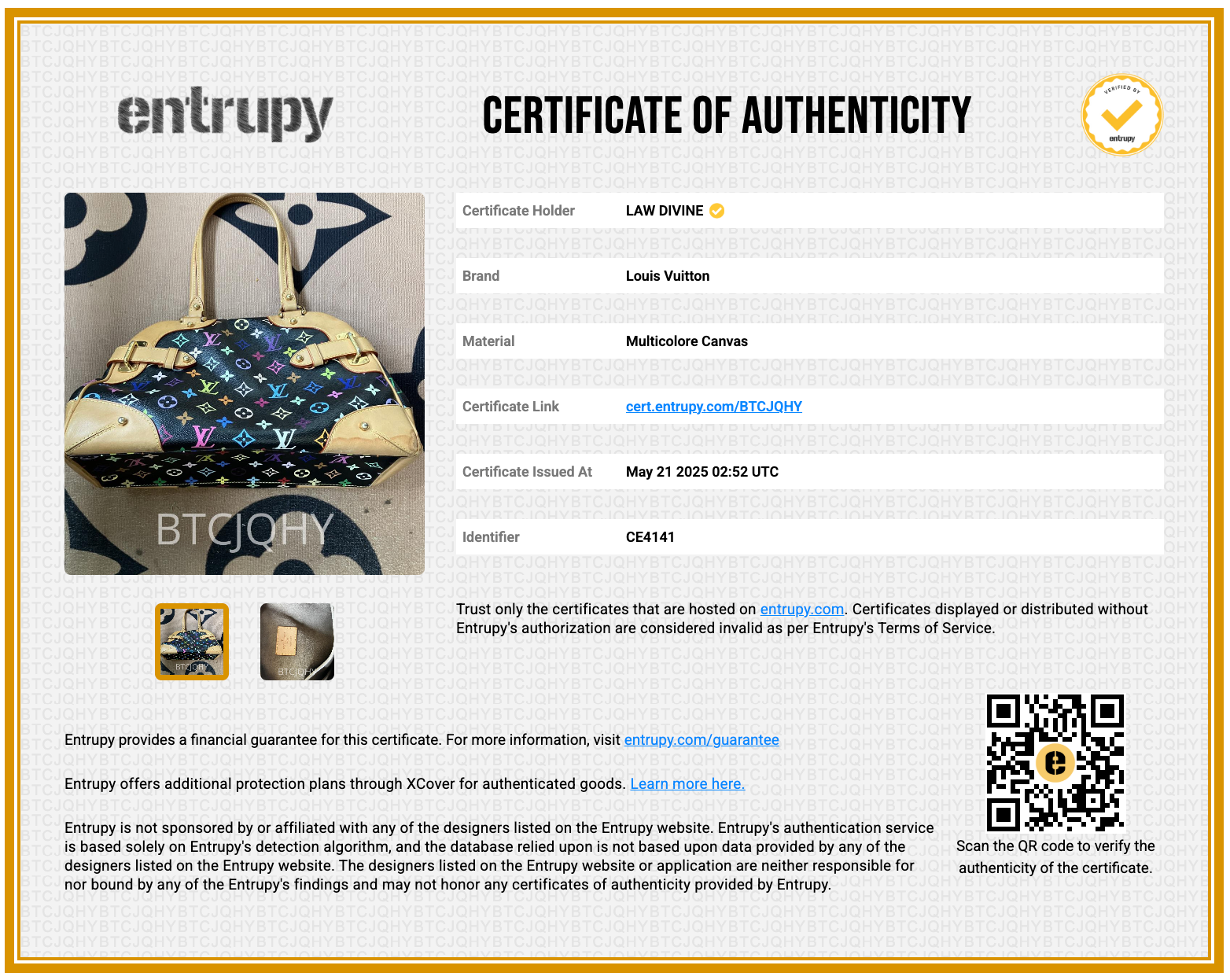 Claudia Handbag Monogram Multicolor