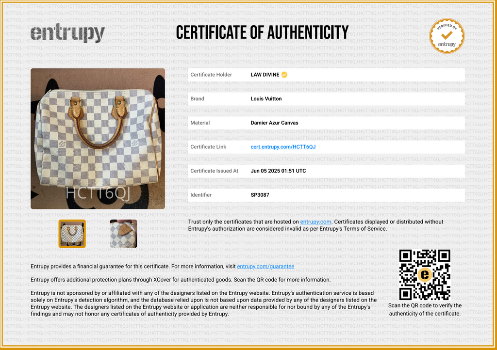 Speedy Damier Handbag 25
