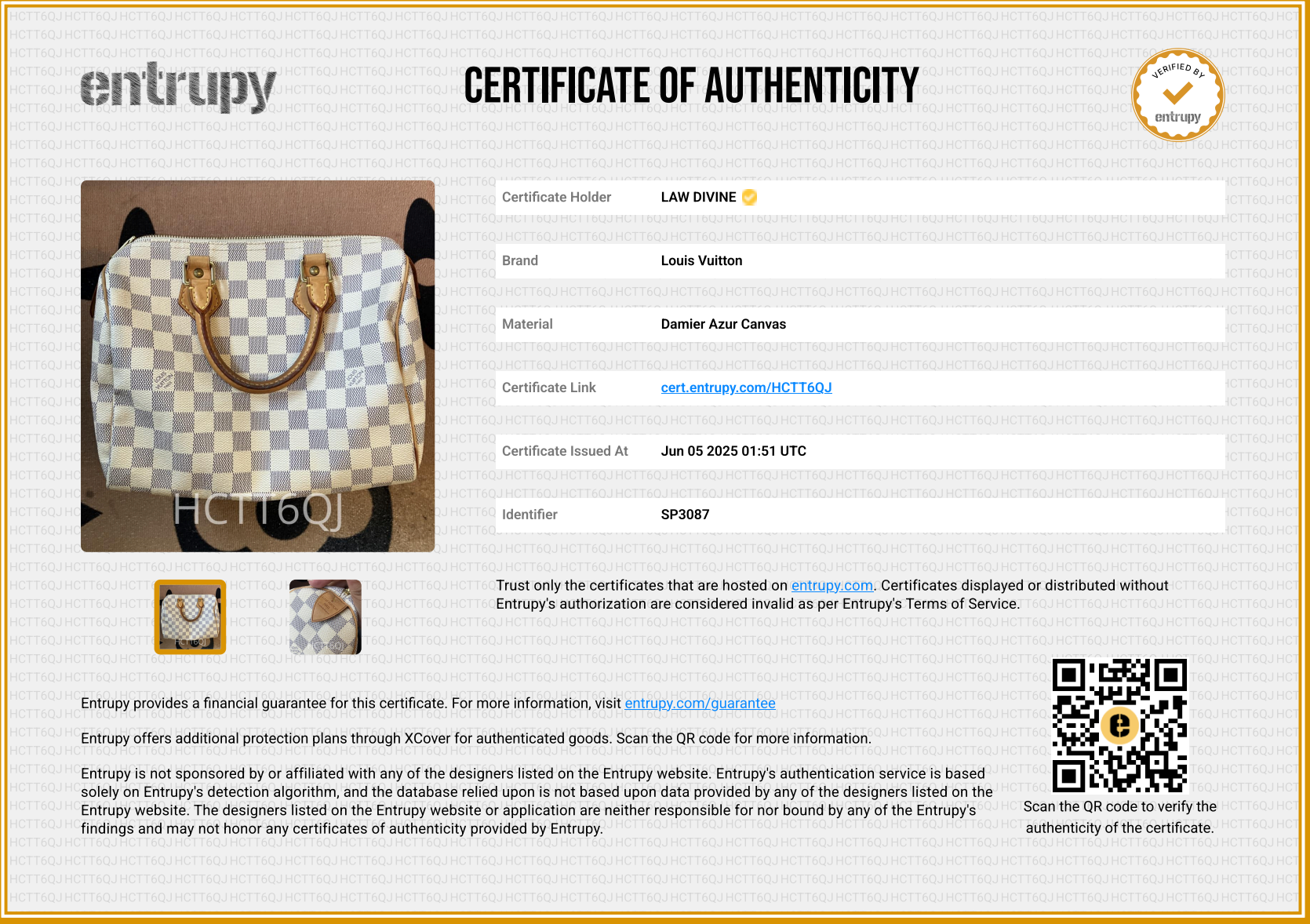 Speedy Damier Handbag 25
