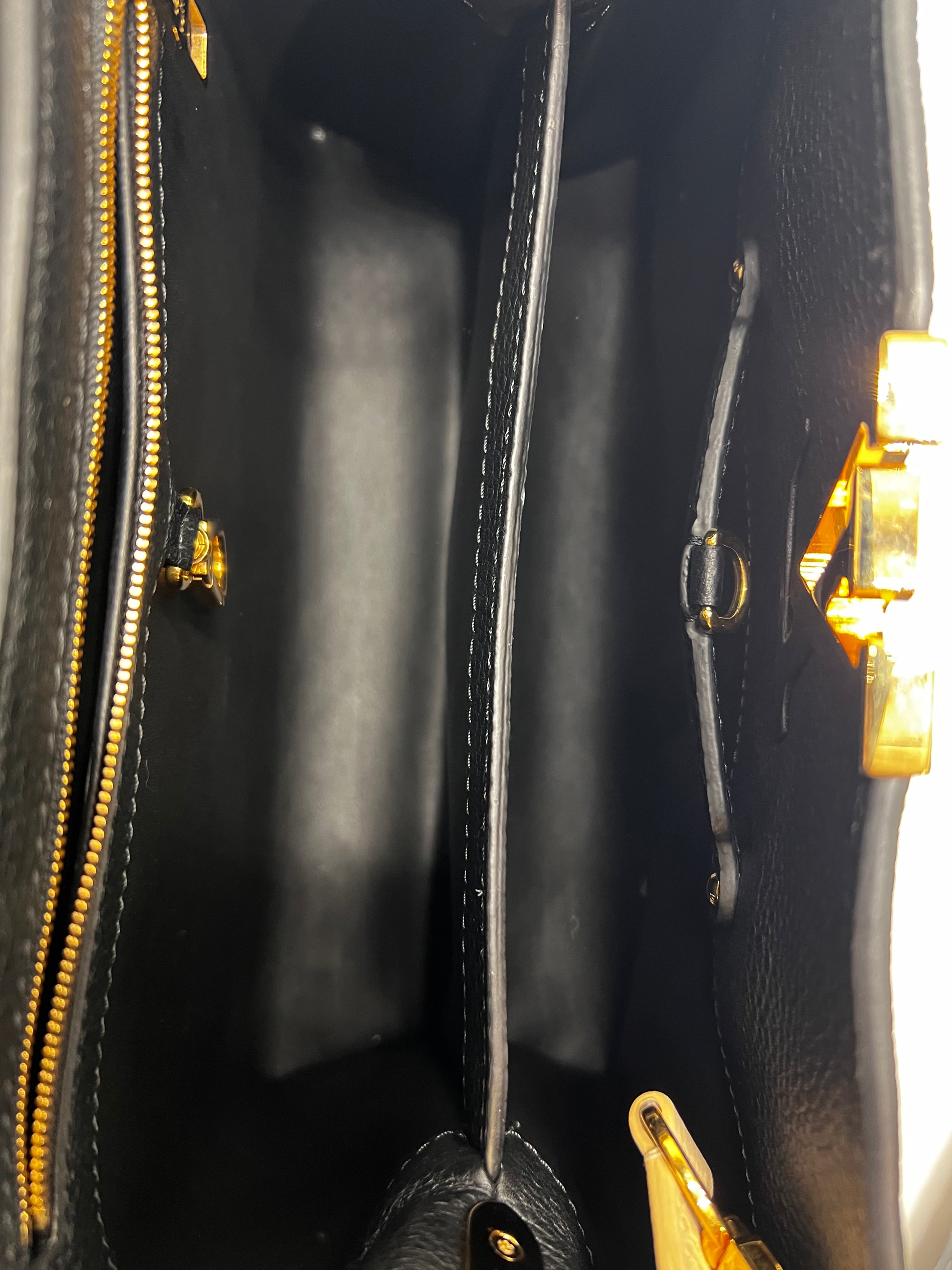 Capucines Bag Leather PM Twins