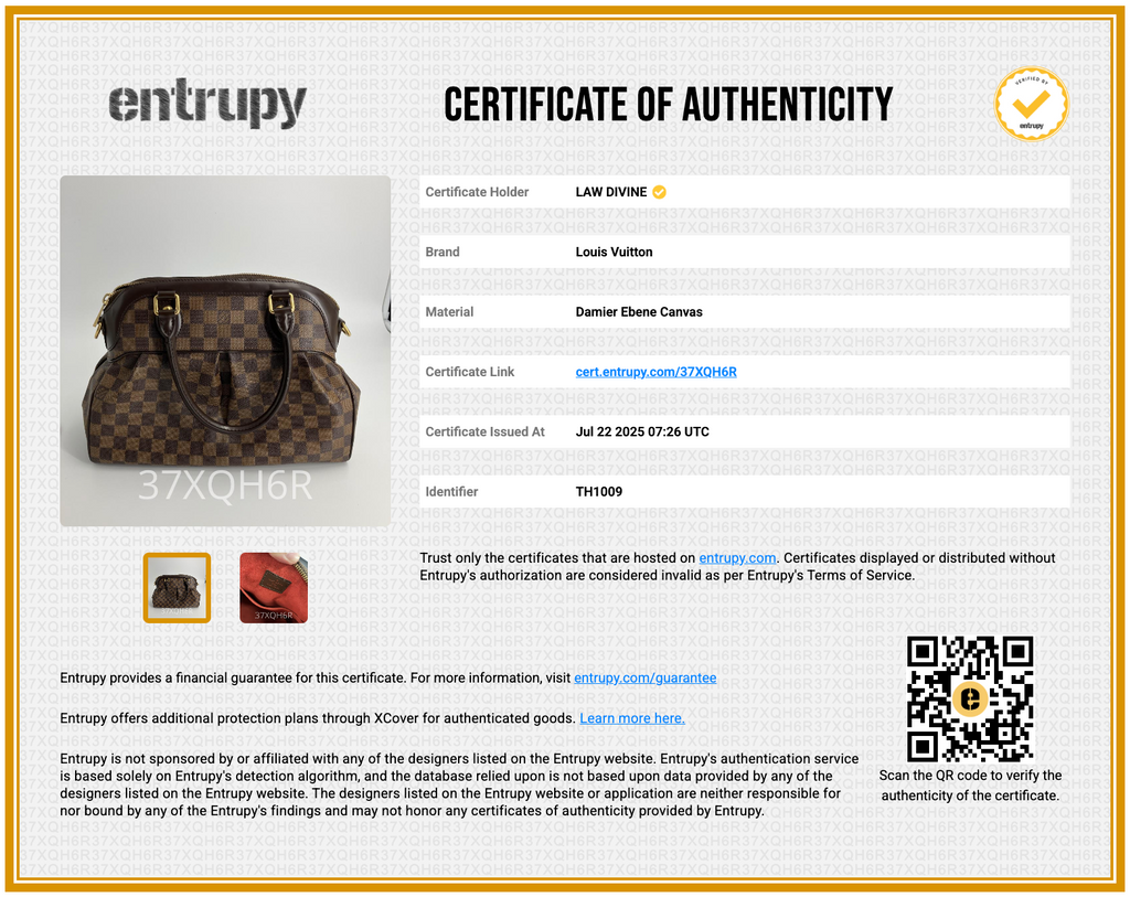Trevi Handbag Damier PM