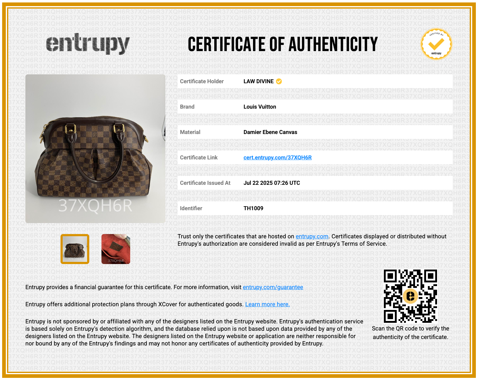 Trevi Handbag Damier PM
