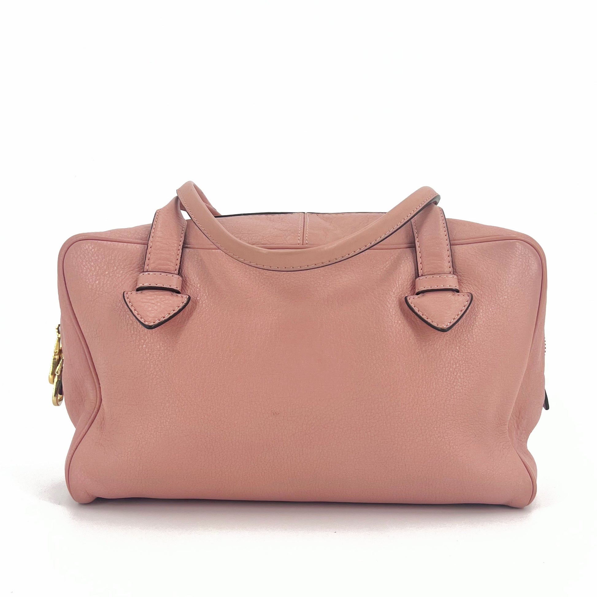 Amazona Leather Top Handle Bag twins