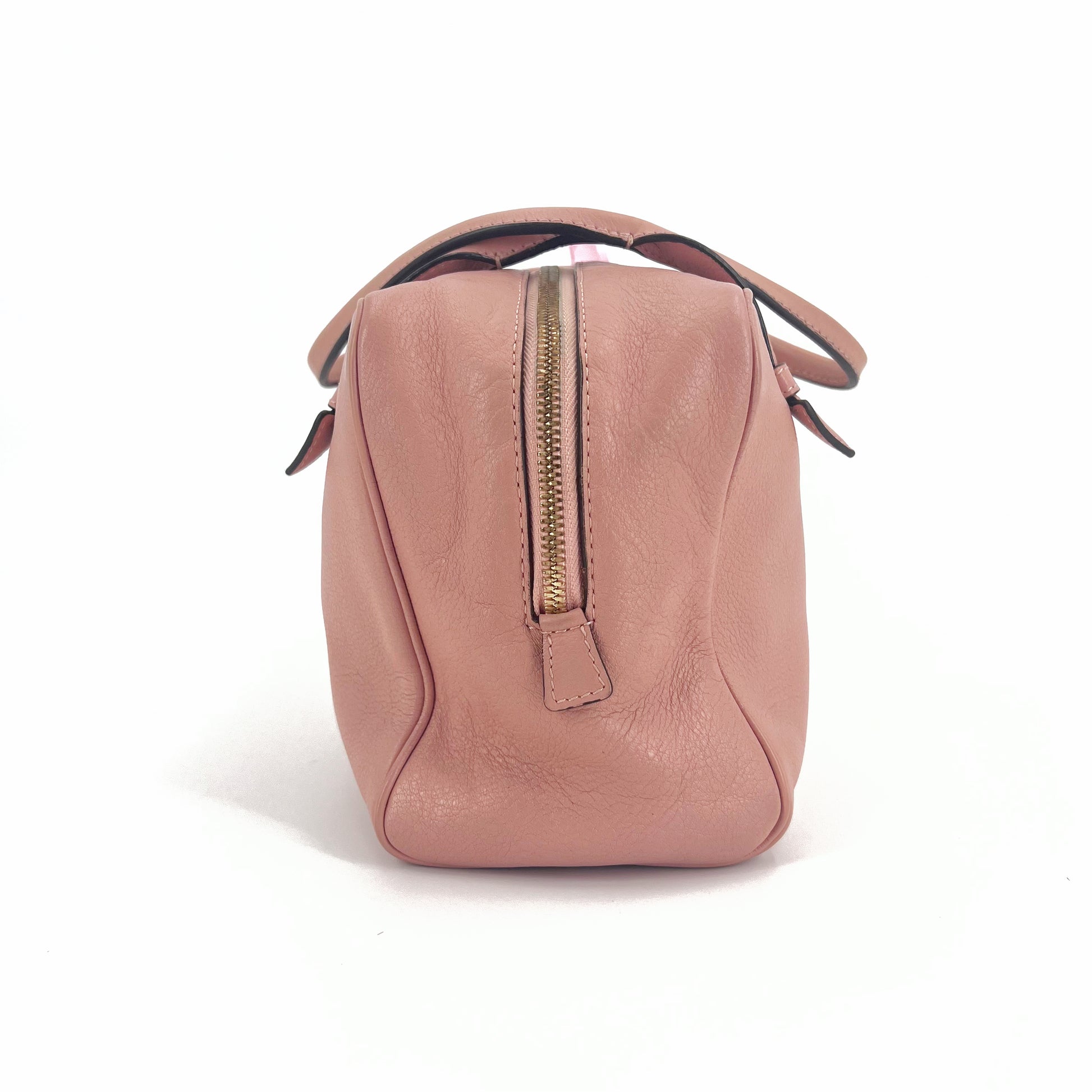 Amazona Leather Top Handle Bag twins