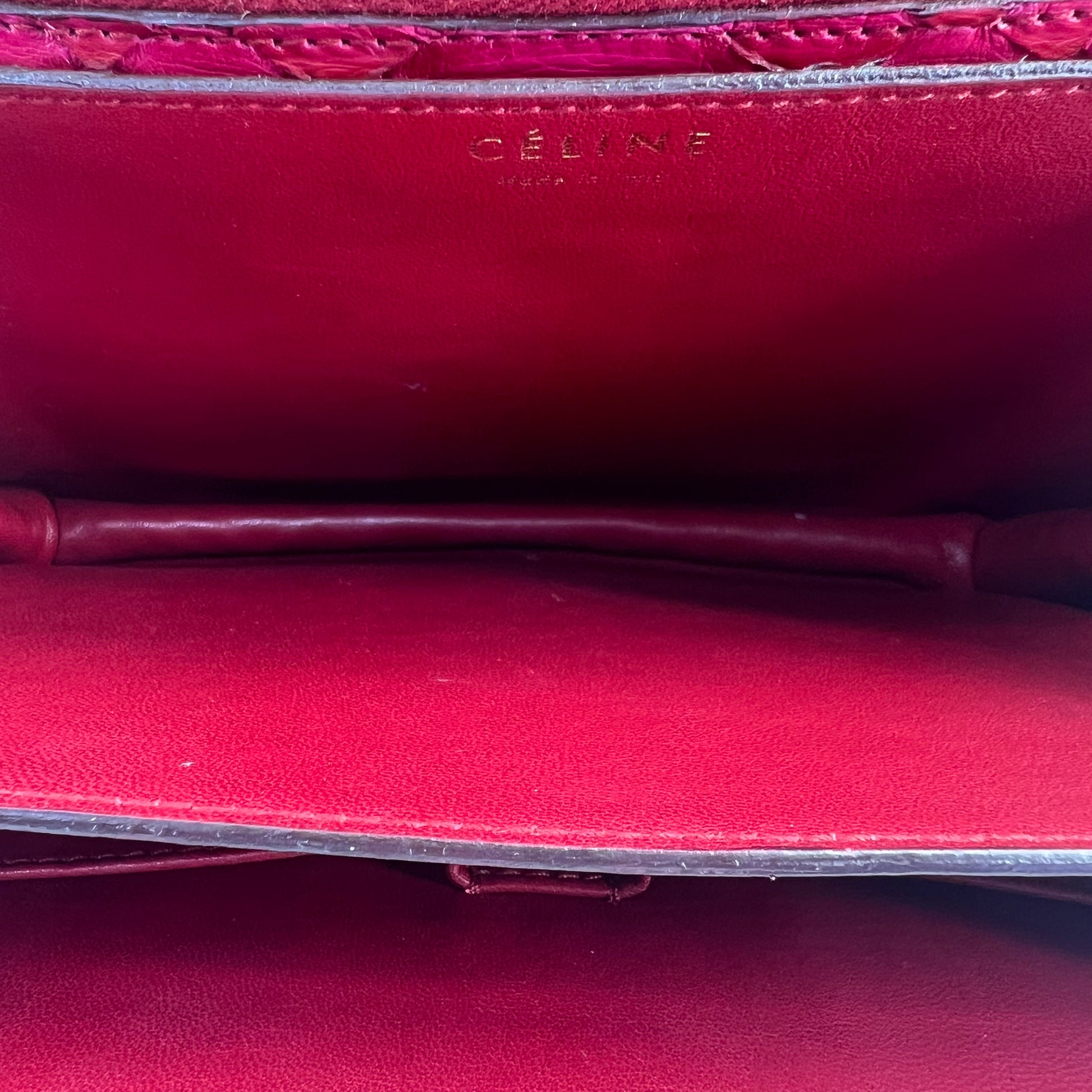 Celine Medium Python Classic Bag twins