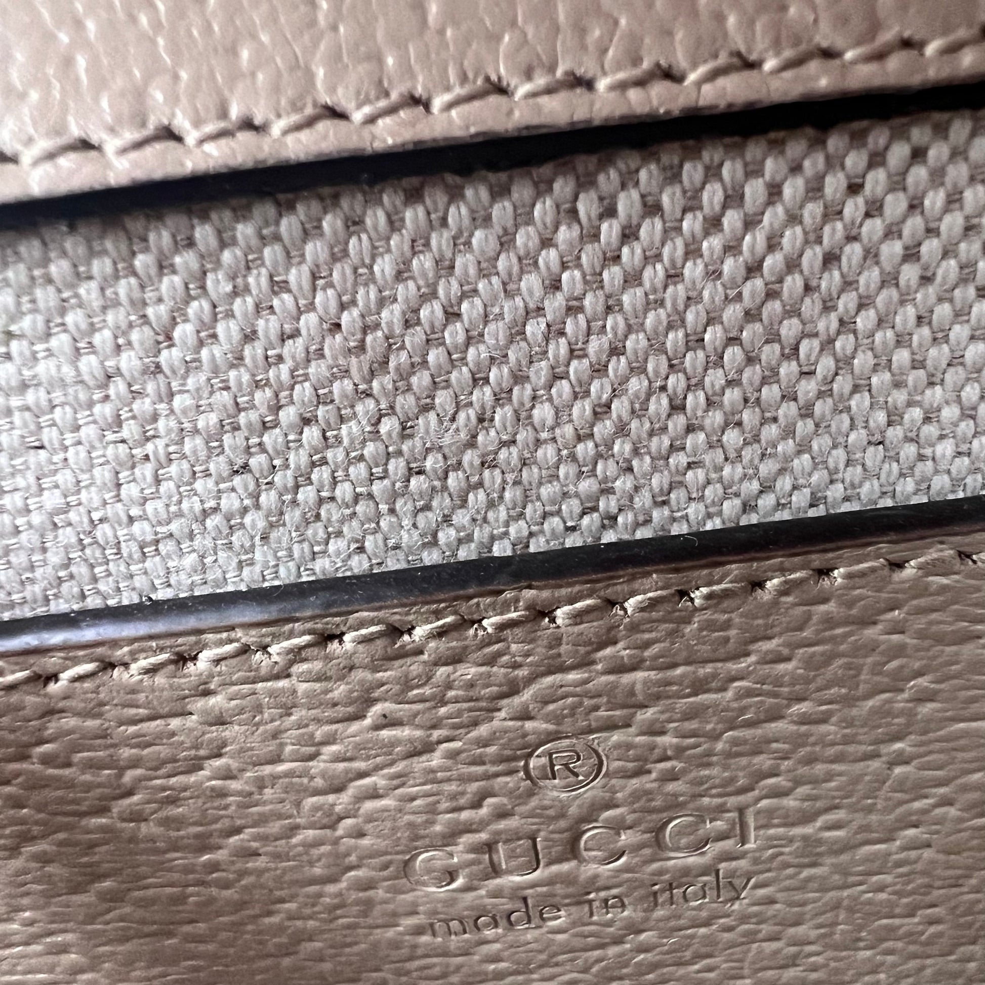 GG Supreme Monogram Textured Dollar Calfskin Web Mini Ophidia Padlock twins