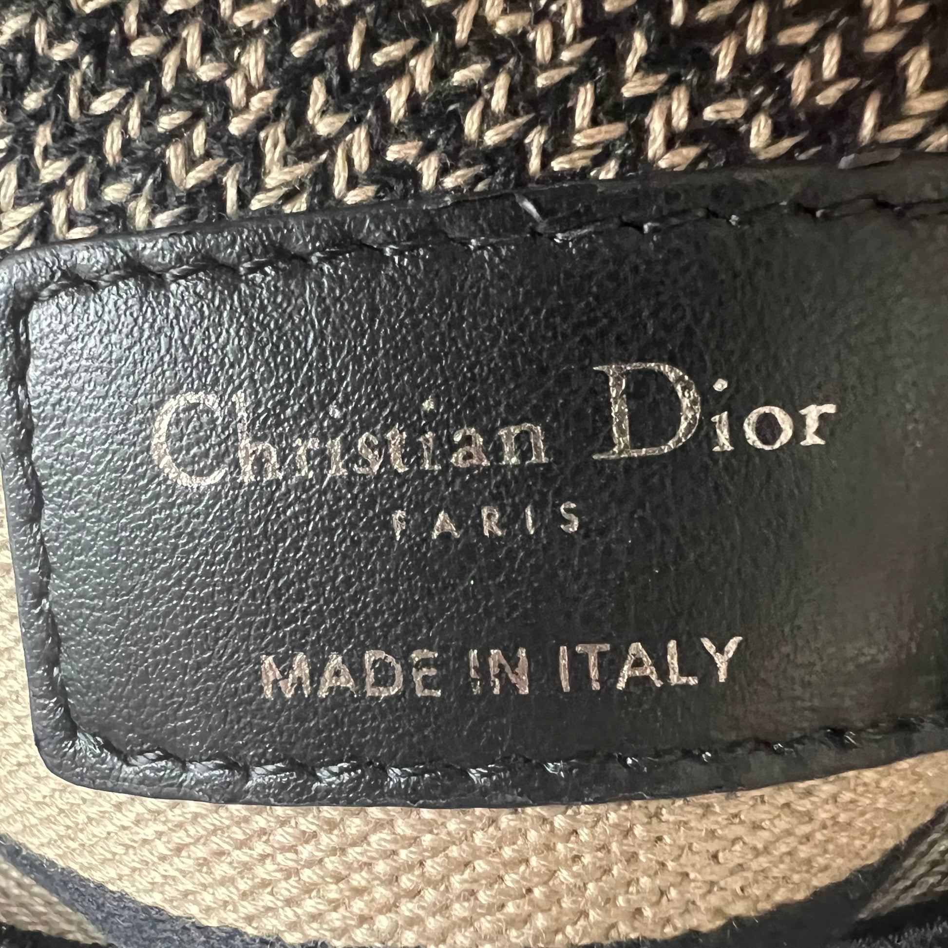 Canvas Embroidered Jardin D'Hiver Medium Lady D-Lite Beige twins