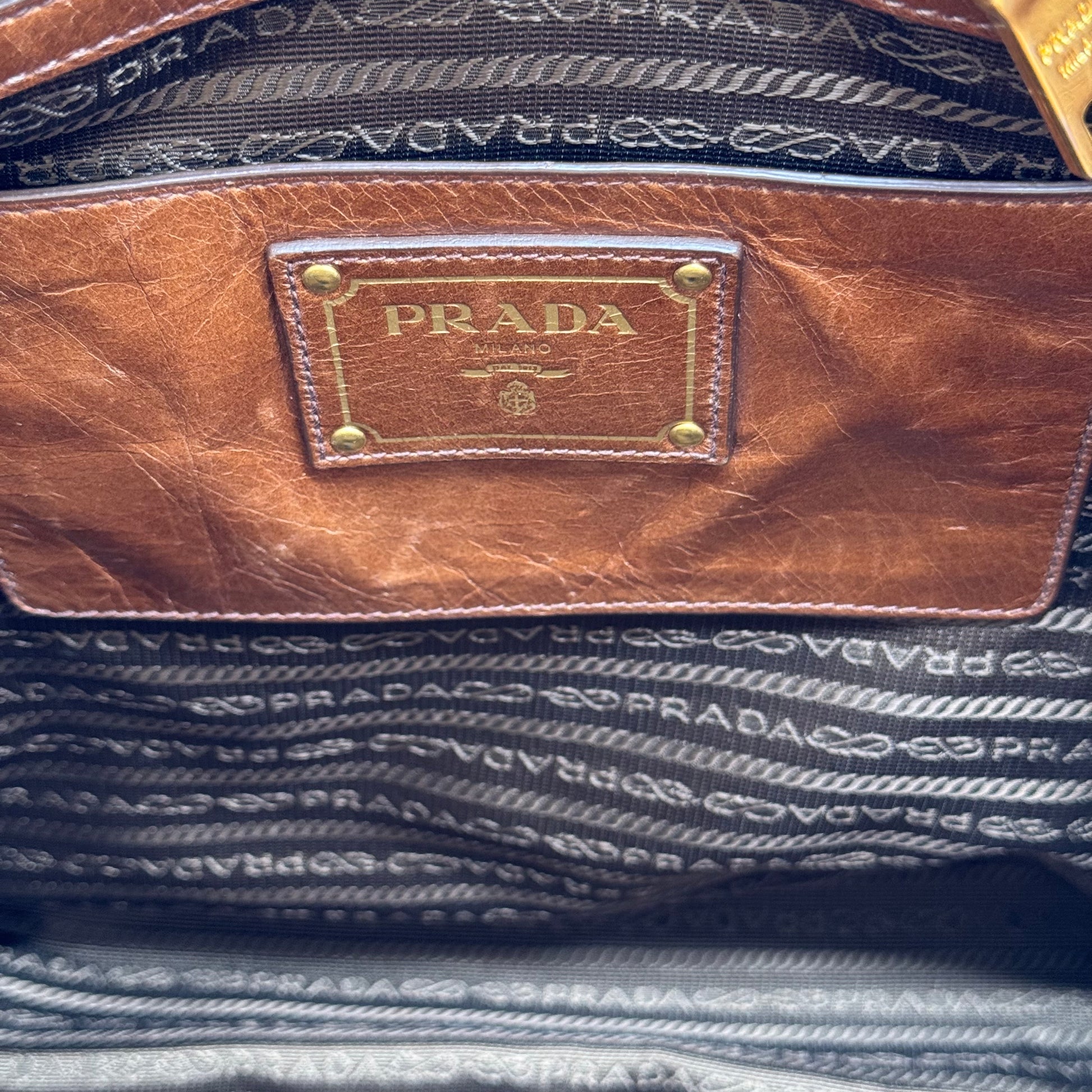 Brown Vitello Shine Tote