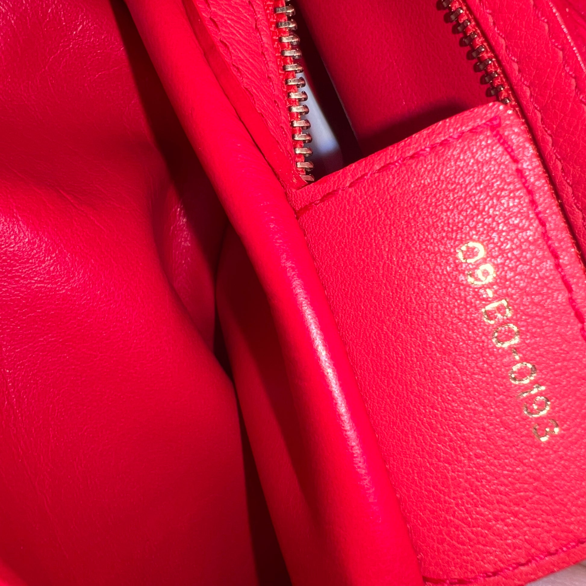 Calfskin Small Diorling Red twins