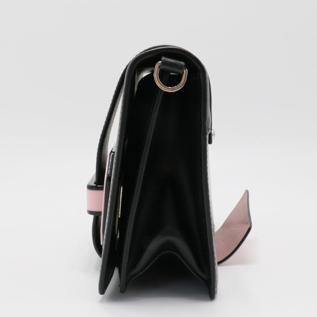 Plex Ribbon Shoulder Bag City Calfskin Small