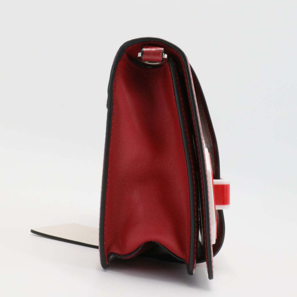 Plex Ribbon Shoulder Bag City Calfskin