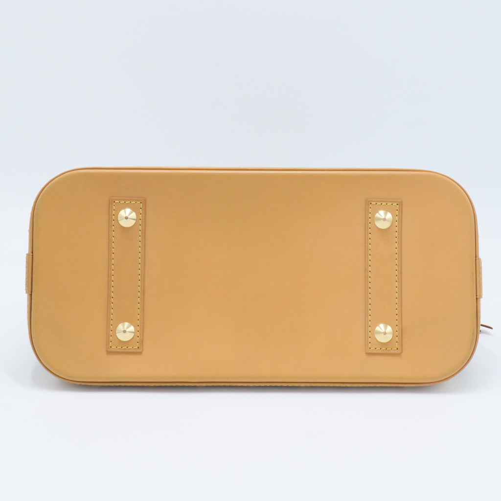 Alma Handbag Monogram Multicolor PM