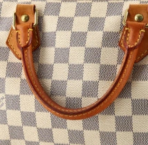 Speedy Handbag Damier 30