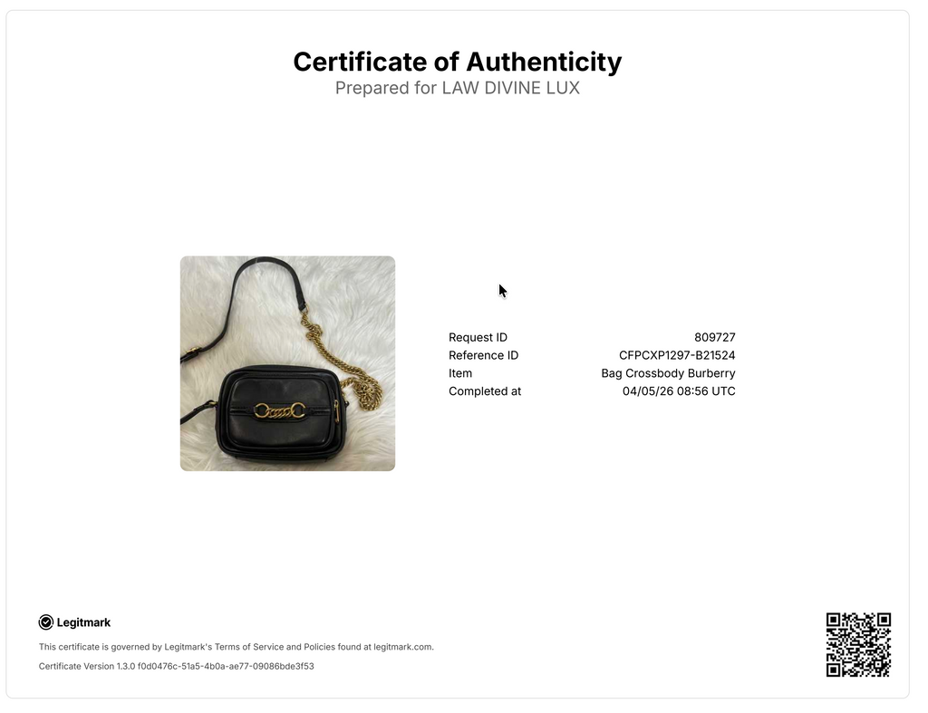 Link Chain Camera Bag Leather Small B21524