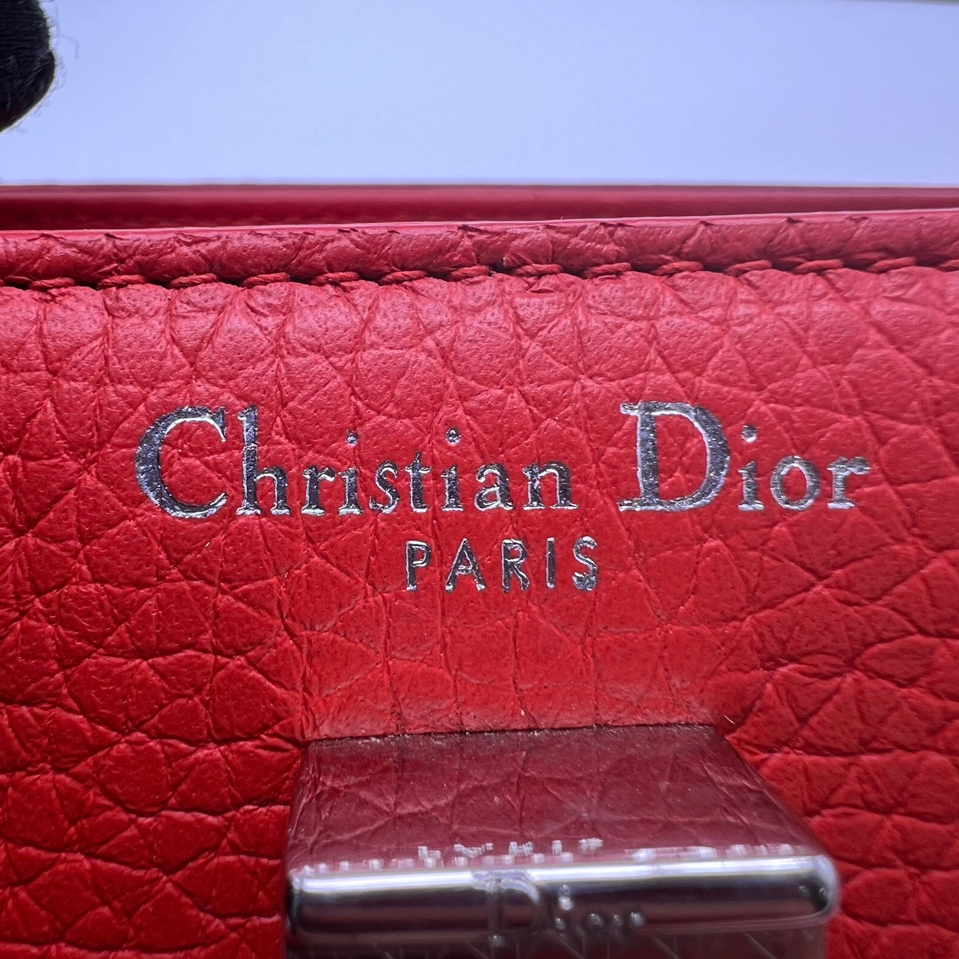 Leather Diorever Mini B22244
