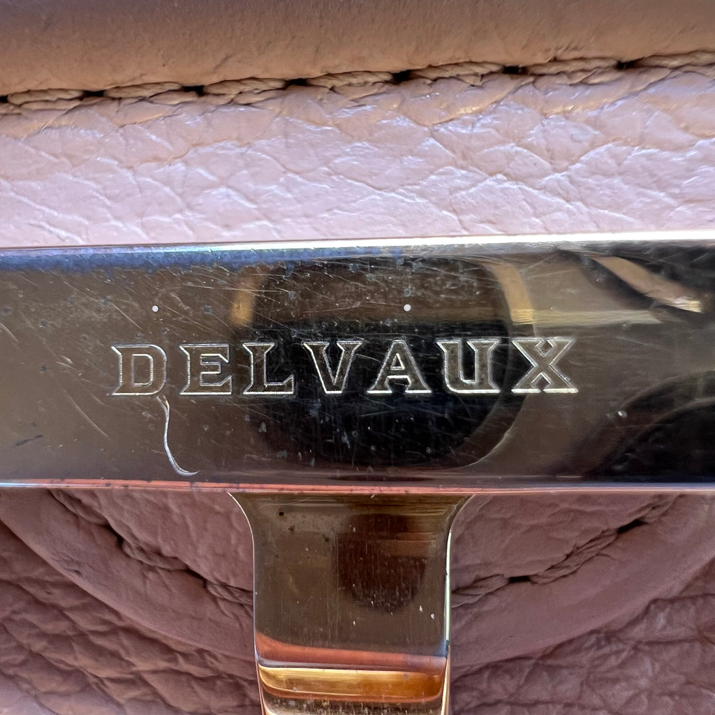 Delvaux Leather Brillant Mini B22094