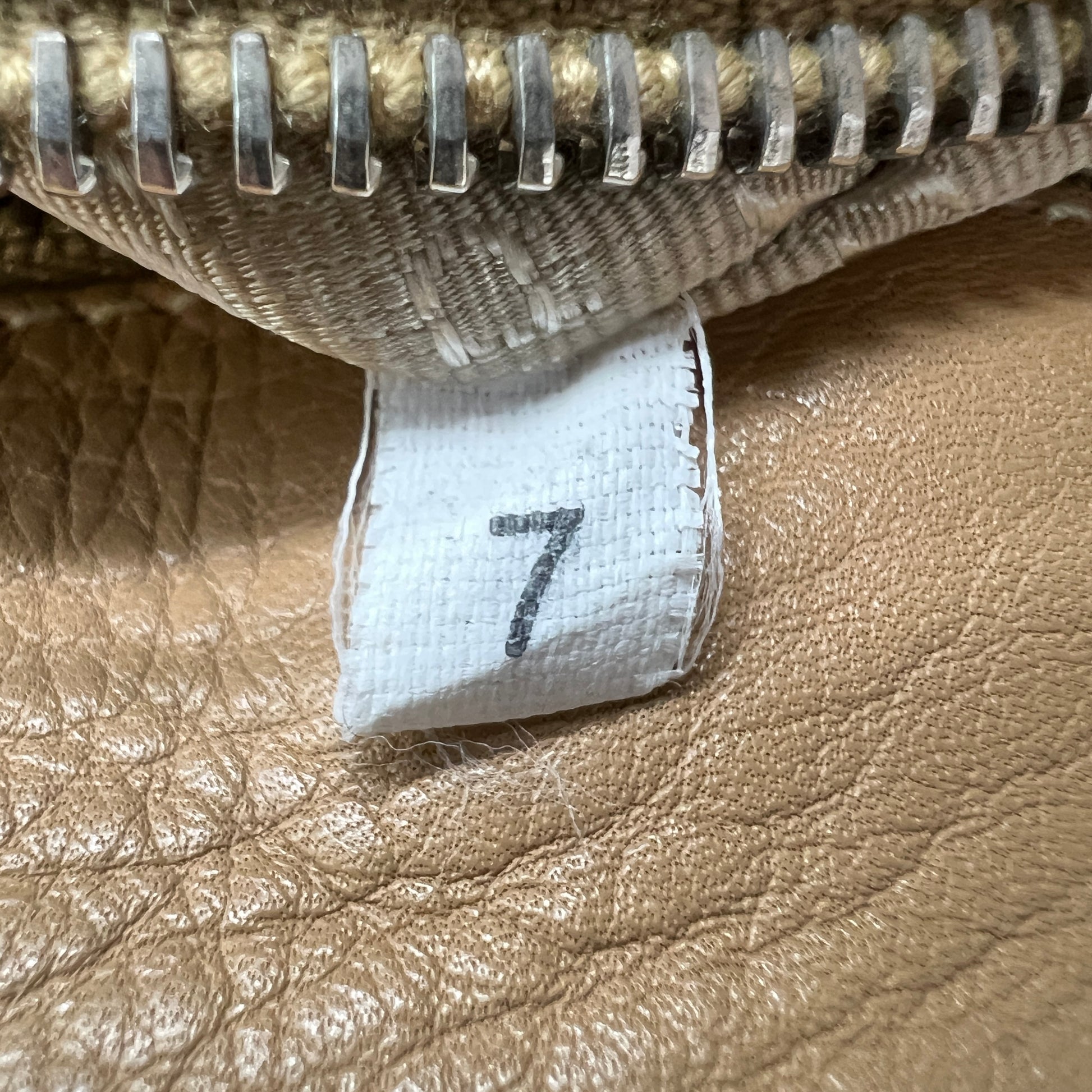 Lizard-Trimmed Vitello Daino Skipper Bag B22353