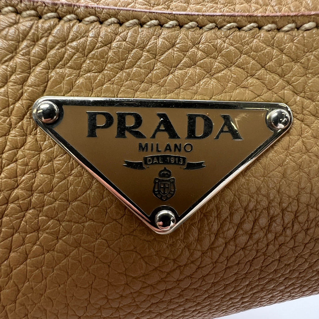Lizard-Trimmed Vitello Daino Skipper Bag B22353