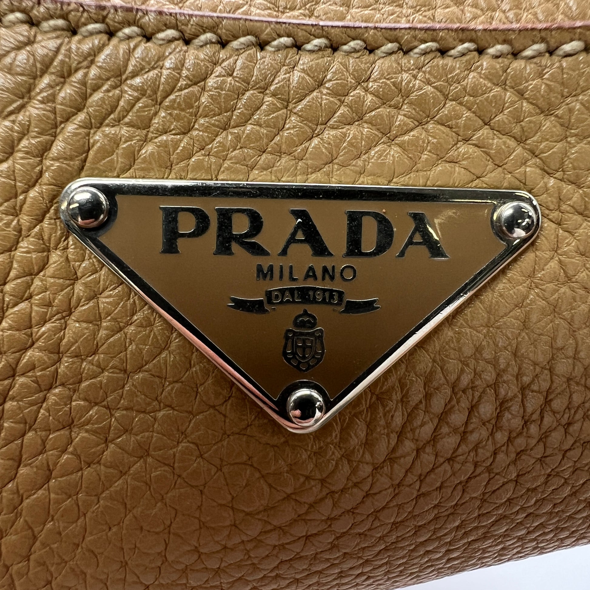 Lizard-Trimmed Vitello Daino Skipper Bag B22353