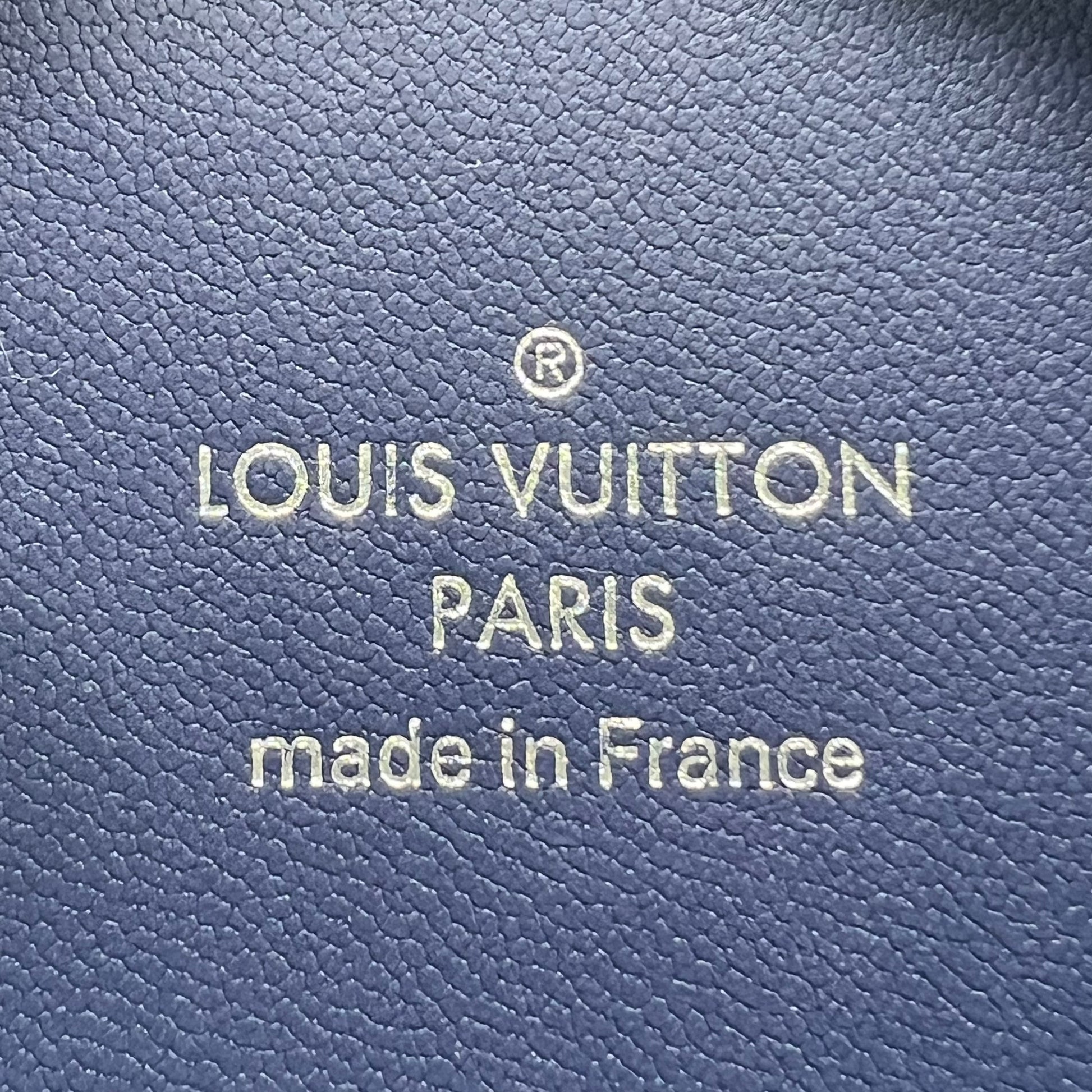 Louis Vuitton Horizon Wireless Earphones Case W22044