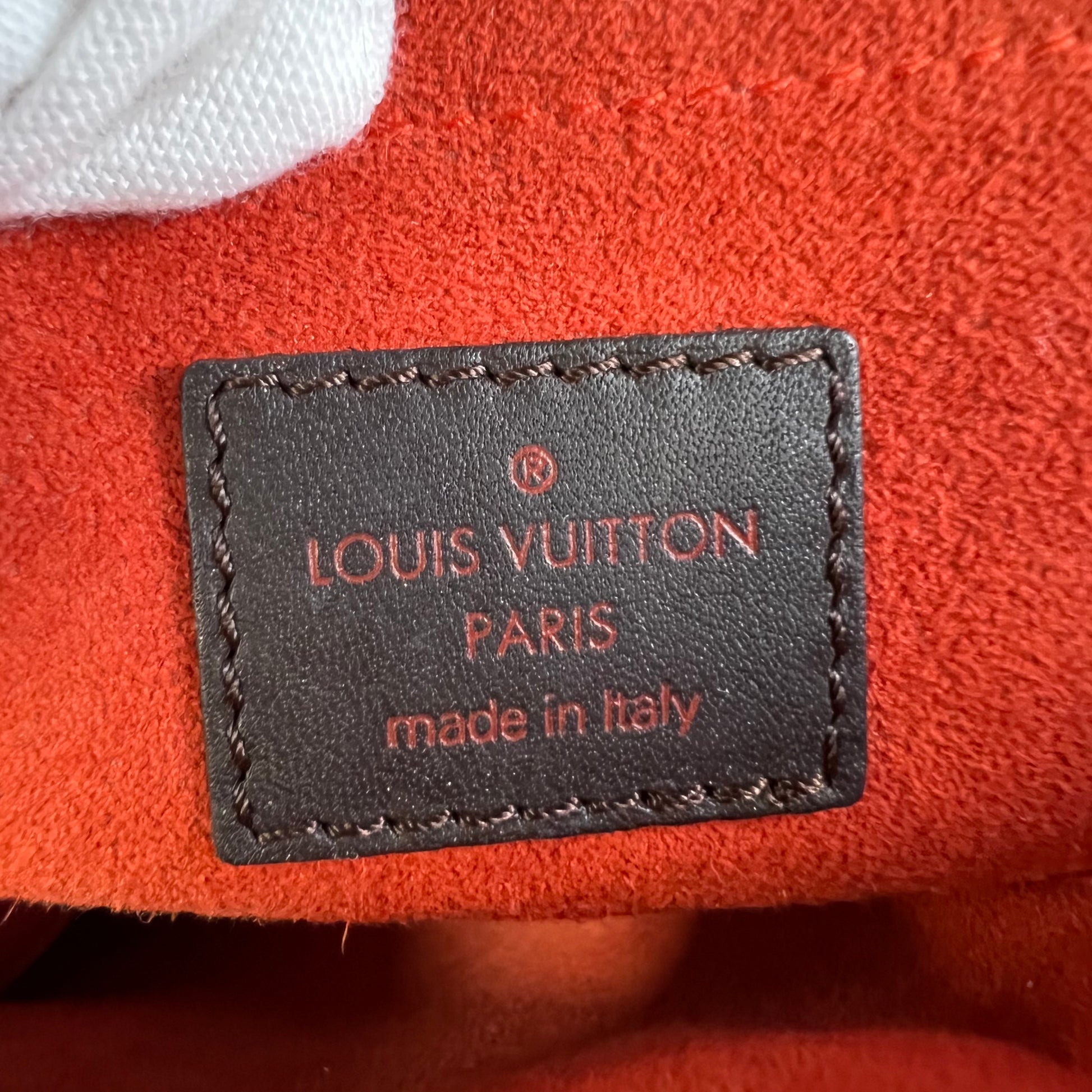 Louis Vuitton Damier Sauvage Lionne Bag B22766