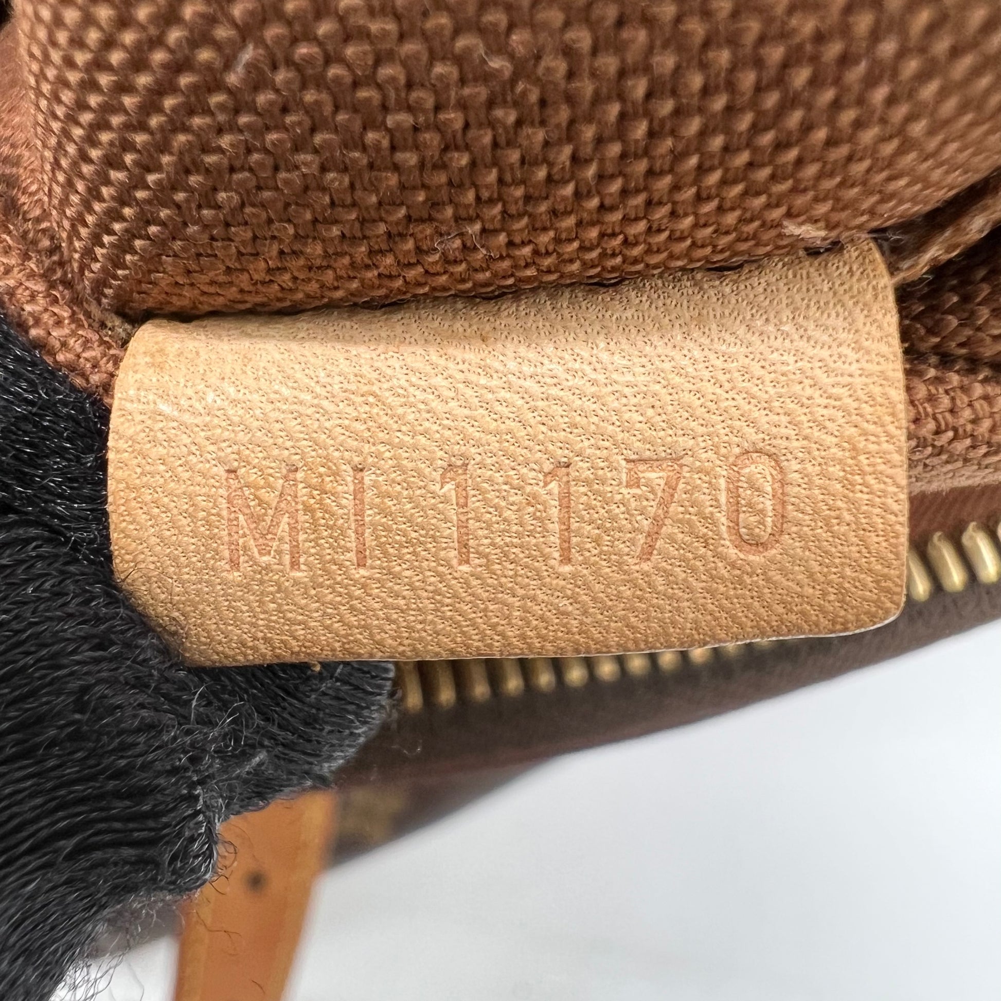 Louis Vuitton Monogram Palermo GM B22194