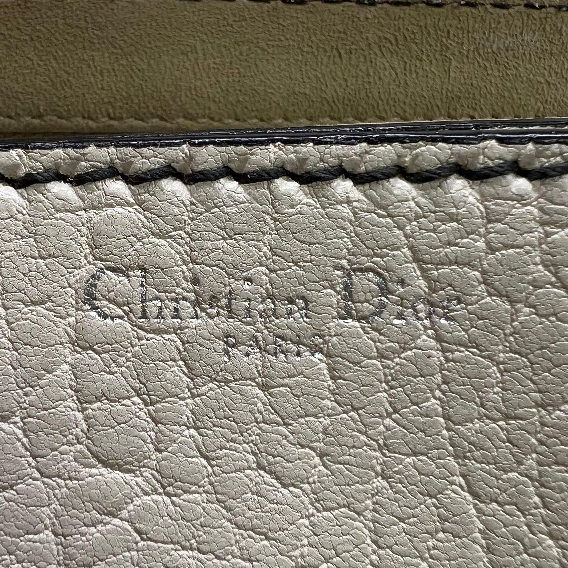 Christian Dior Dio(r)evolution Flap Bag B22360
