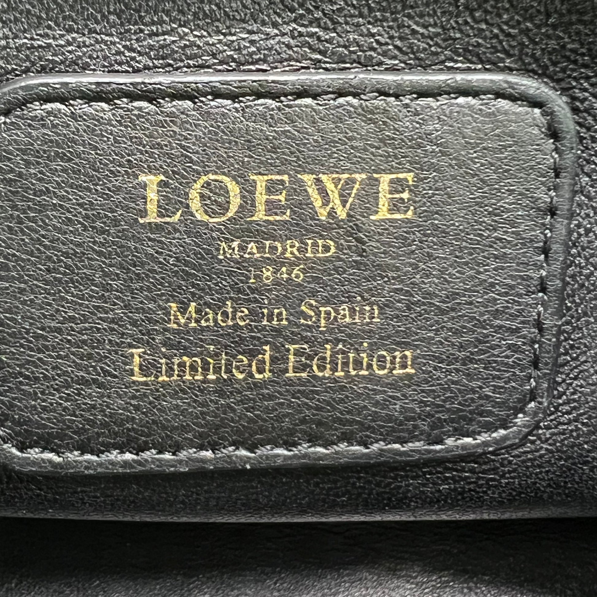 Loewe Amazona 28 B22789