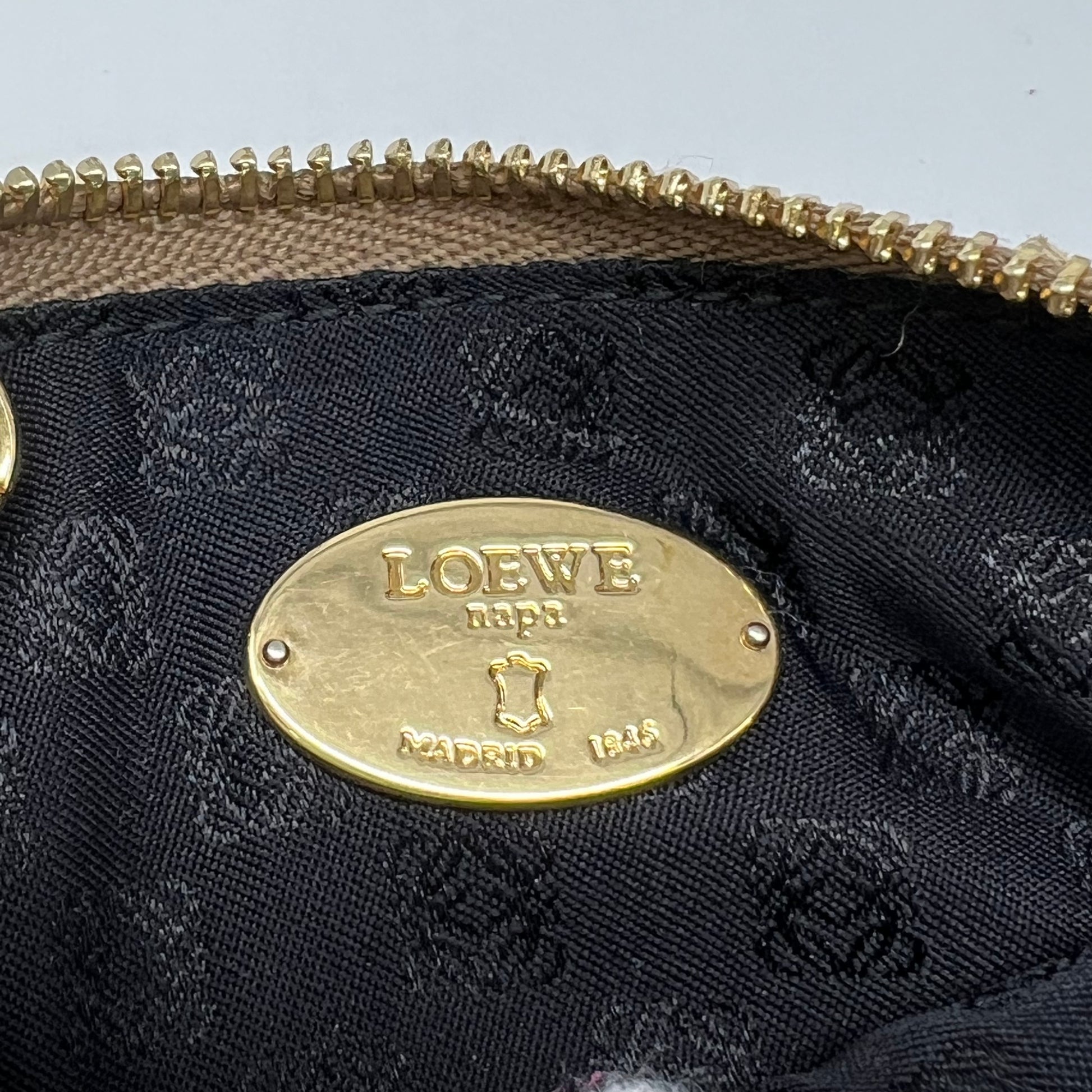 Loewe Tassel Key Cles Pouch W22407