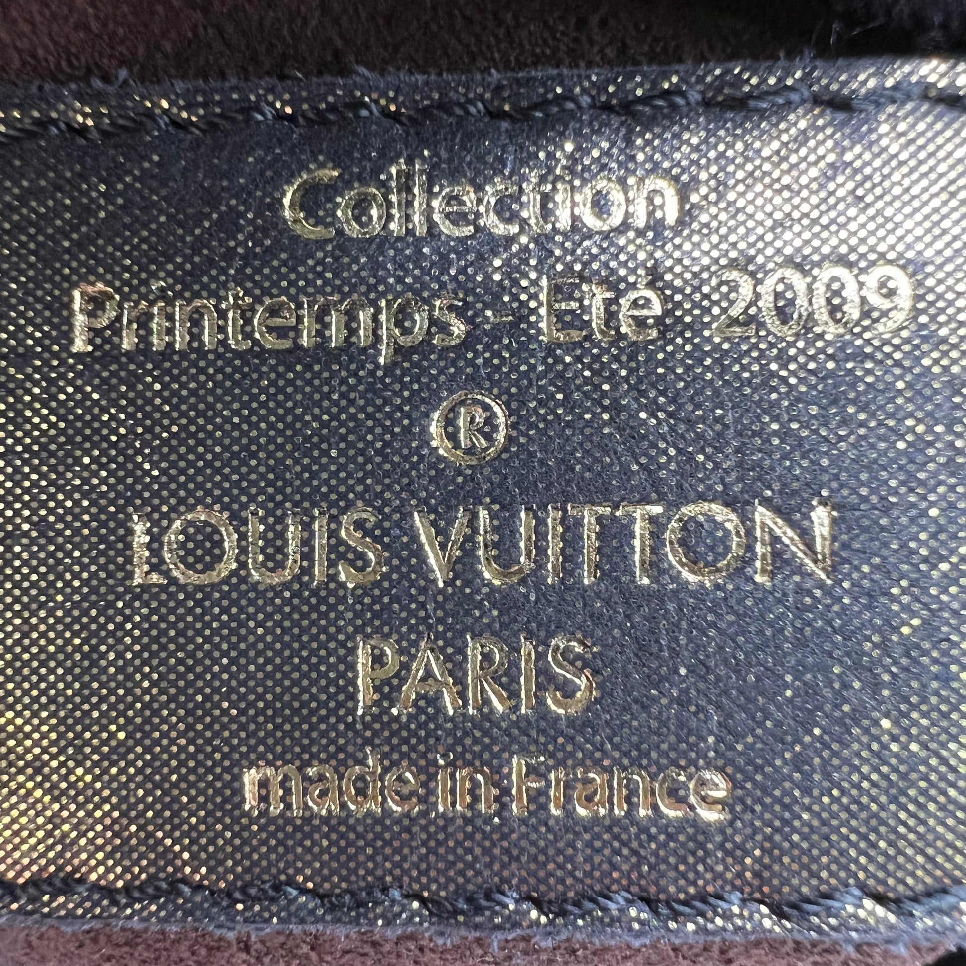Louis Vuitton Limited Edition Monogram Epices Kalahari  twins B23034