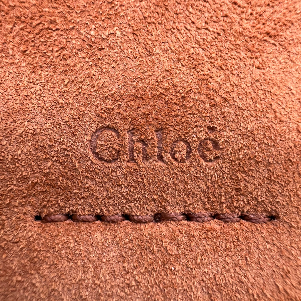Chloé Suede and Calfskin Mini Faye Backpack B23121