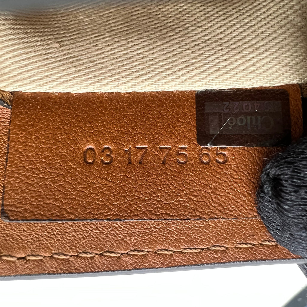 Chloé Suede and Calfskin Mini Faye Backpack B23121