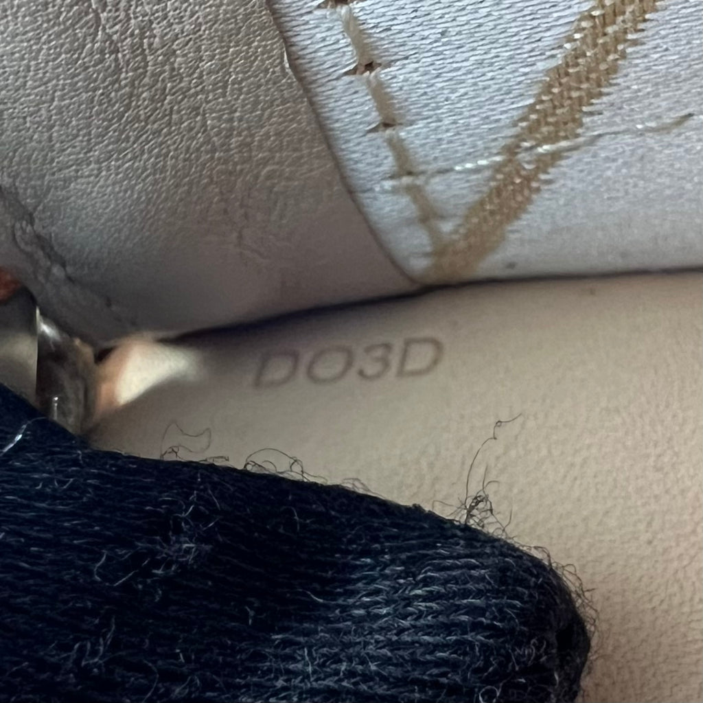 Delvaux Tempête MM Bag in Nude/Pink Beige Leather B23013