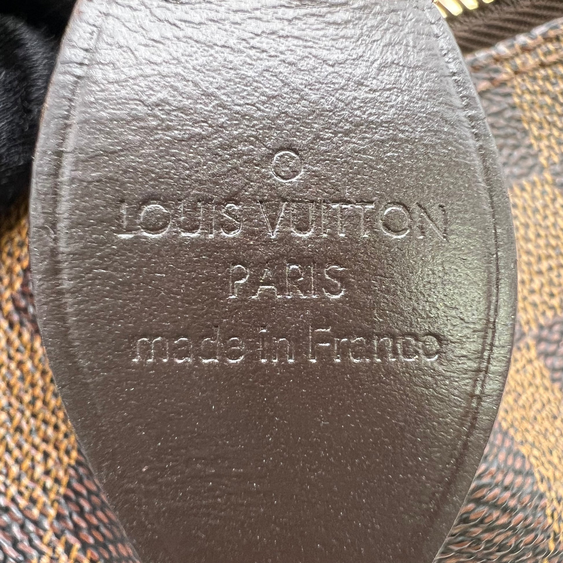 Louis Vuitton Damier Ebene Saleya MM Bag B22902