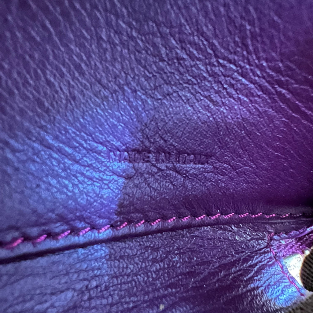 Fendi Fortune Zucca Spalmati Ladybug Zip Continental Wallet W22656