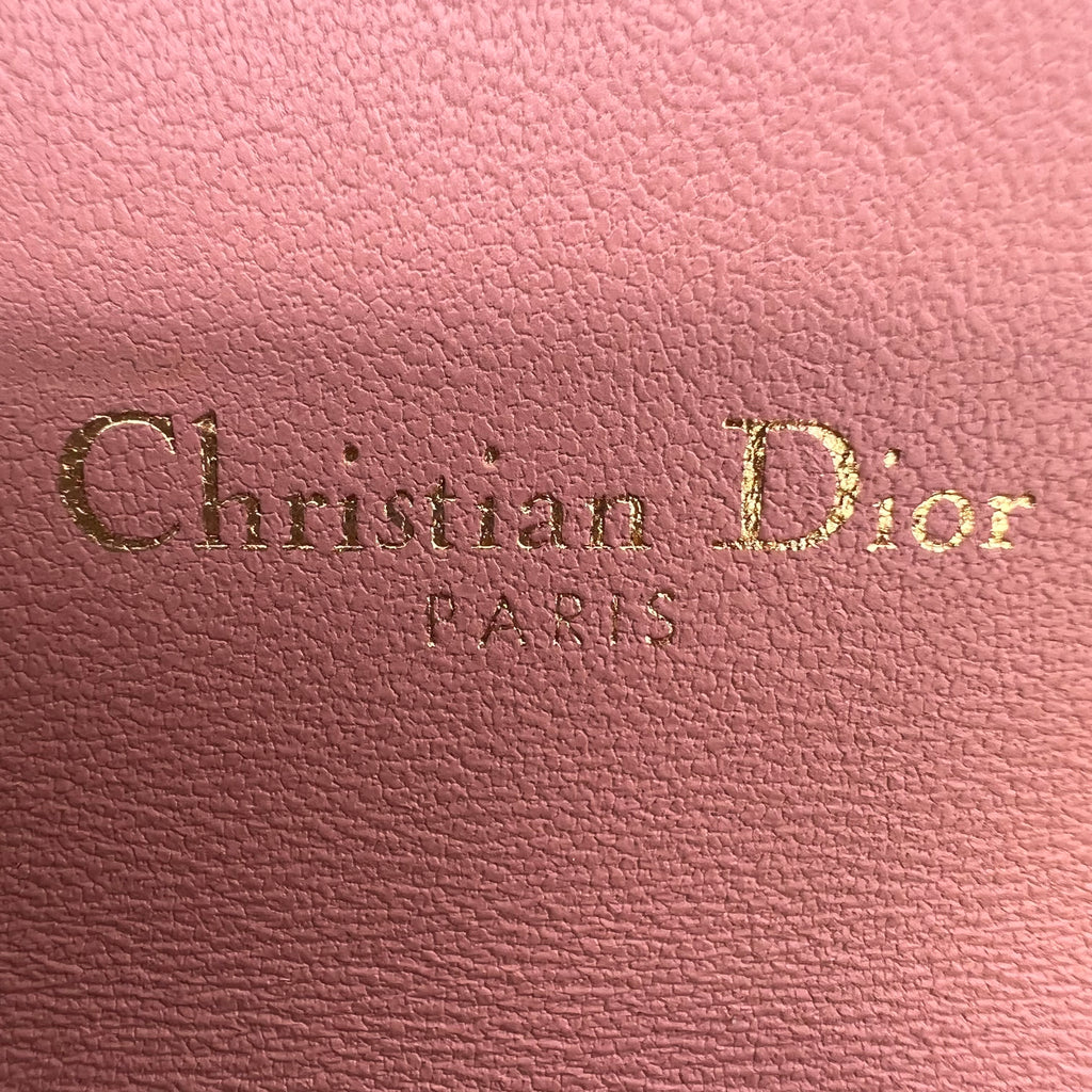 Dior Saddle Wallet on Chain (WOC) B23603
