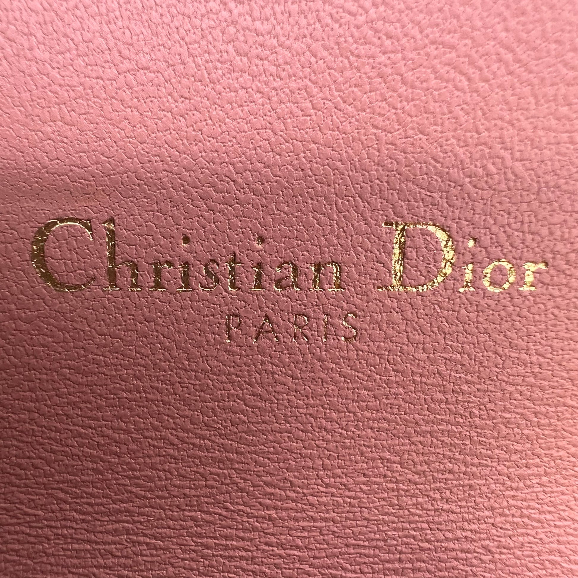 Dior Saddle Wallet on Chain (WOC) B23603