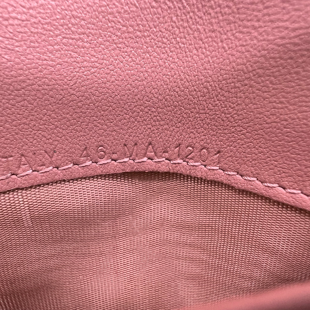 Dior Saddle Wallet on Chain (WOC) B23603