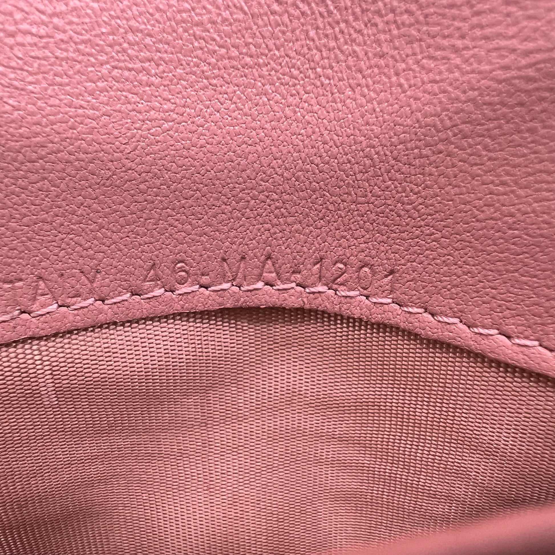 Dior Saddle Wallet on Chain (WOC) B23603